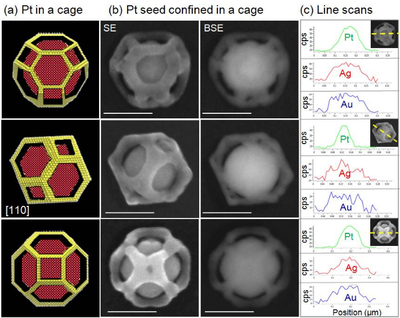Caged nanostructures formed through the epitaxial deposition of Ag onto Au templates followed by the galvanic replacement of Ag with Pt.