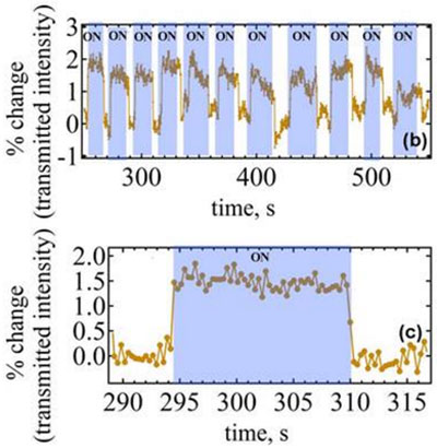 Real-time monitoring of the transmitted light through substrate-based Au nanoparticles during the on/off cycling of H2. Plasmonic near-fields for a spherical and hemispherical Au nanostructure.