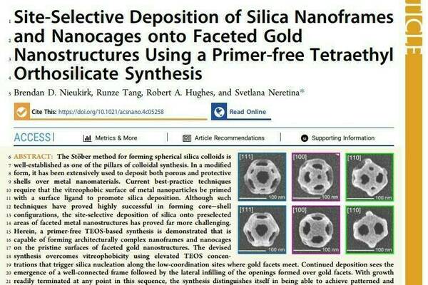 ACS Nano Silica